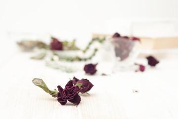 the buds dried roses