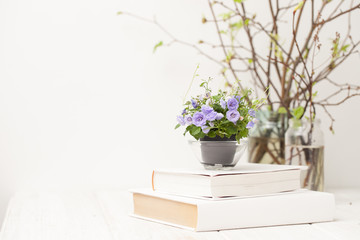 small blooming flowers on a white wooden table