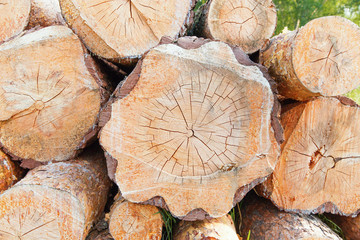 Pile of wood logs storage, for industry. Aged piece of wood with texture. Background of  ring woods