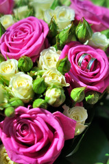 wedding rings and roses