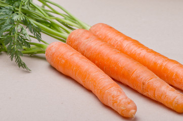 Fresh ecological carrots