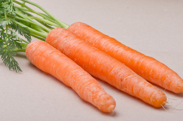 Fresh ecological carrots
