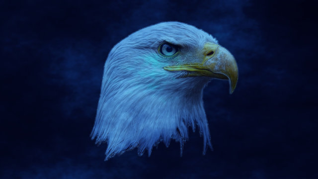 Adelaar op een blauwe achtergrond