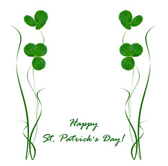 green clover leaves isolated on white background. St.Patrick 's Day
