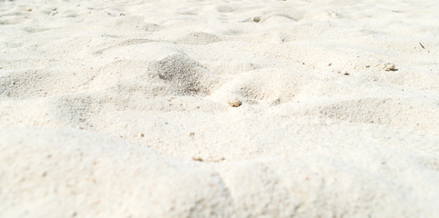 White sand beach in Krabi Thailand.