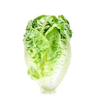 baby cos (lettuce) isolated on white background