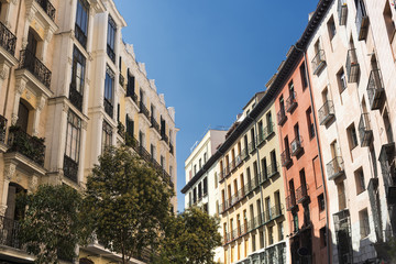 Fototapeta na wymiar Madrid (Spain): a street