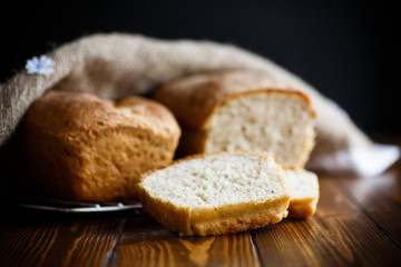 fresh homemade buckwheat bread