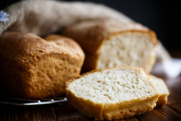 fresh homemade buckwheat bread