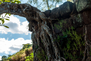 Wat Phu in Southern Laos
