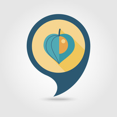Physalis berries flat pin map icon. Vegetable