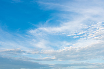 Fototapeta premium blue sky with cloud