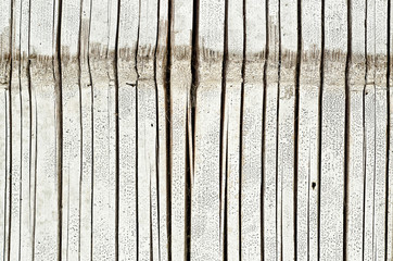 Fototapeta premium Wood Background Texture