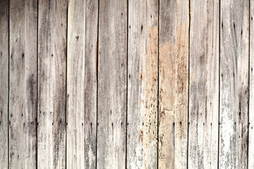 Fototapeta premium Wood Background Texture