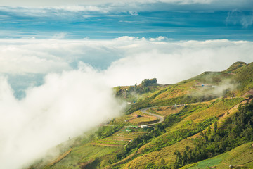 Mist-covered peaks