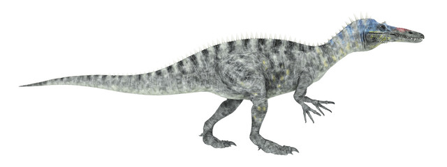Dinosaur Suchomimus isolated on white background - obrazy, fototapety, plakaty