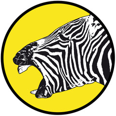 zebra laughing