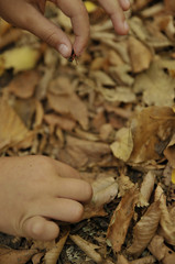 little insect red in the children's hands.