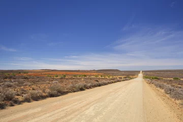 Wandaufkleber Dirt road through the Karoo in South Africa © sara_winter