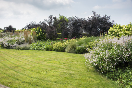 Fototapeta big garden with plants and flowers