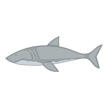 Shark icon, cartoon style