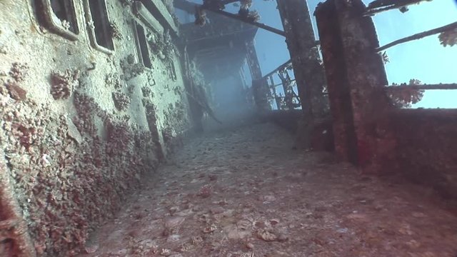 Corals on deck of sunken ship Salem Express underwater in Red Sea in Egypt. Extreme tourism on the ocean floor in the world of coral reefs, fish, sharks. Researchers of wildlife blue abyss.