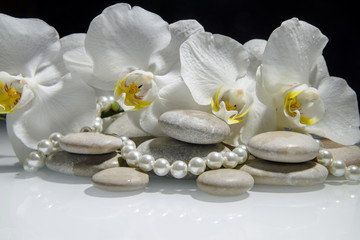 Naklejka na ściany i meble white orchids and pearls lie on the rocks 