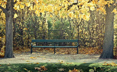 Sunny park at Belvedere in the fall, Vienna. Lonely bench between two trees in the park.