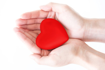 red heart in hands isolate on white background.