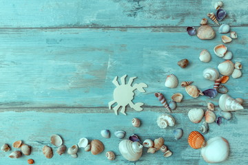 Wooden background with sea shells, travel, sea tour concept