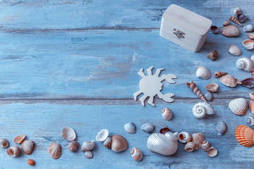Fototapeta na wymiar Wooden background with sea shells, travel, sea tour concept