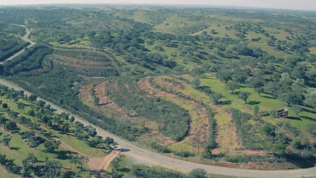 Aerial View Green Rural Landscape