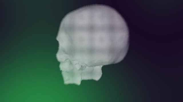 digitaler Sch&auml;del von Skelett dreht sich