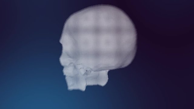 digitaler Sch&auml;del von Skelett dreht sich