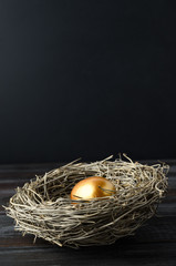 One Single Gold Egg in Bird's Nest on Wood with Black Background