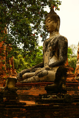Buddha Statues in Ayutthaya, Thailand