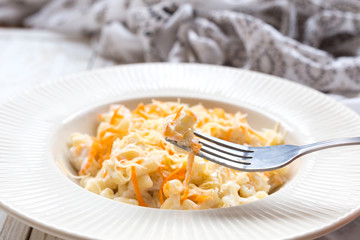 Stortini Vegetarian Vegetable pasta with carrot, cheese and ricotta