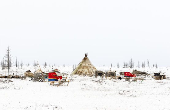 Camp of nomadic tribe in the polar tundra at a frosty day, chum, sled and other stuff