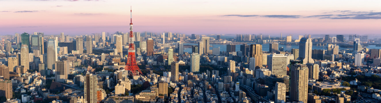 Panorama view of Tokyo city at dusk time , Japan