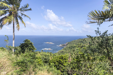 Fototapeta na wymiar coastline with rainforest at the island of Dominica