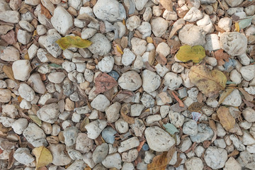 Abstract small stone concrete cement floor texture background