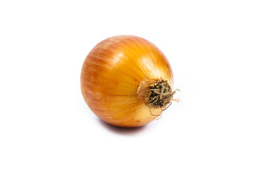 onion isolated on white background cutout