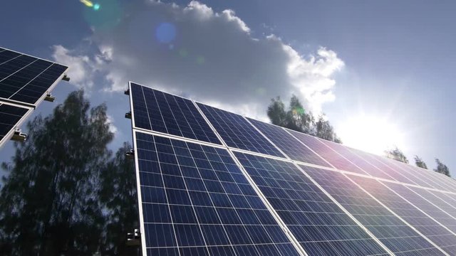 Solar panels with sunlight and pine tree at background