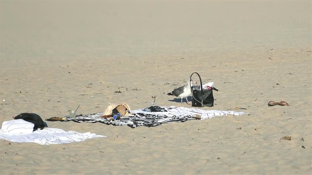  Two high quality videos of thief on the beach