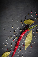 Red pepper pungent spices and bay leaf on the black tree. View from above.