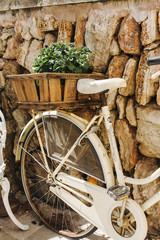 Fahrrad mit Blumen im Korb an Mauer gelehnt