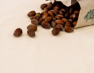 Group of raw hazelnuts on a white background