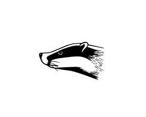 Hand drawn badger's head