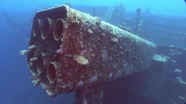 Corals on part of sunken ship Salem Express close up underwater in Red Sea. Extreme tourism on ocean floor in world of coral reefs, fish, sharks. Researchers of wildlife blue abyss. Deep diving.