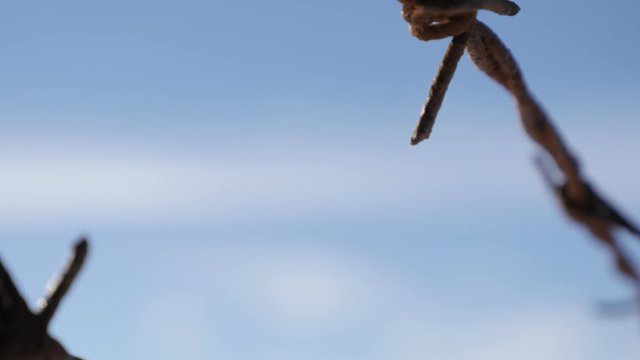 Old protective rangeland fence swings on the wind 3840X2160 UltraHD tilting footage - Slow tilt on rusty barbed wire against blue sky2160p 30fps UHD video